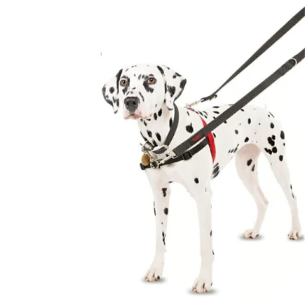 Halti Control Dog Harness Black/Red Size M Adjustable